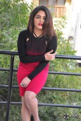 Wamiqa Gabbi at Bhale Manchi Roju Movie Press Meet